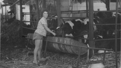 תמונה היסטורית חיי החקלאות ביישוב2.jpg