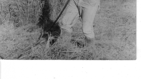 תמונות ארכיון היישוב.jpg