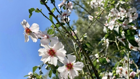 טיול ביער חורשים (3).jpg