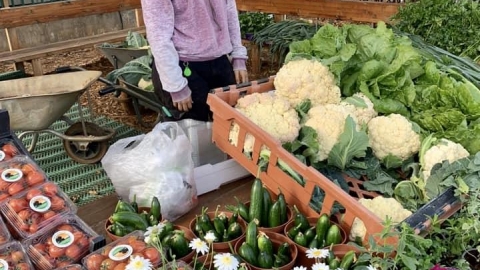 כנס טוב להיות בחוץ לגננות ומורות בחווה החקלאית (3).jpg