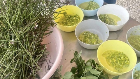 כנס טוב להיות בחוץ לגננות ומורות בחווה החקלאית (7).jpg